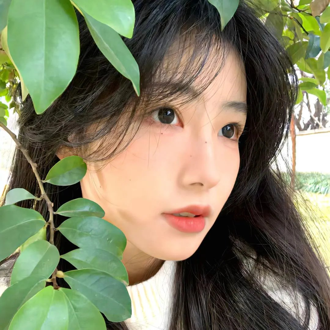 夺命解码